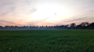 Bu manzara canlı yeşil tarımsal araziyi kesen kırsal toprak bir yol içeriyor. Karanlık çökünce dramatik, bulutlarla dolu bir gökyüzünün altında uzak bir ufka doğru yol alıyor..