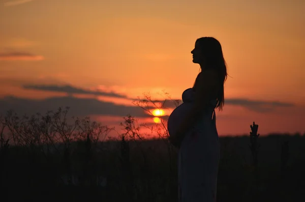 The pregnant girl with a hat in the field of wheat on a sunset — Stock Photo, Image