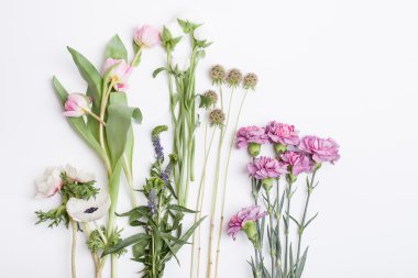 Beyaz ve pembe bahar çiçekleri