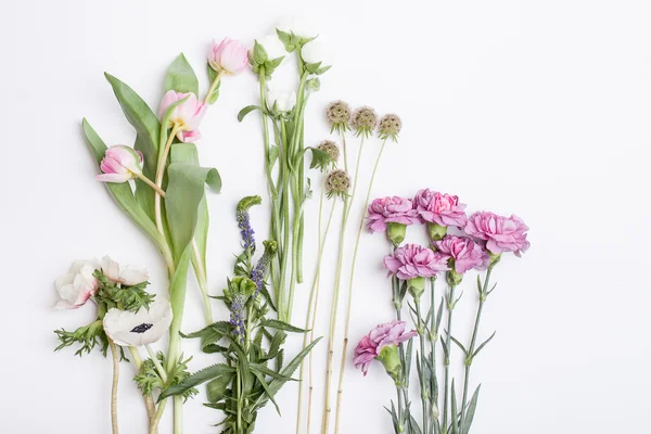 Beyaz ve pembe bahar çiçekleri