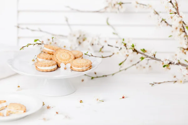 Biscuits au prunier fleuri — Photo