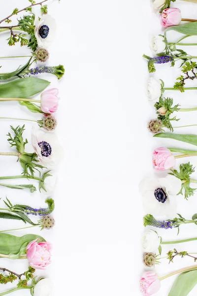 Flores da primavera, rosa e branco — Fotografia de Stock