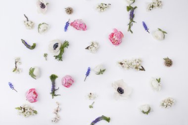 Paskalya çiçekbaşkanları