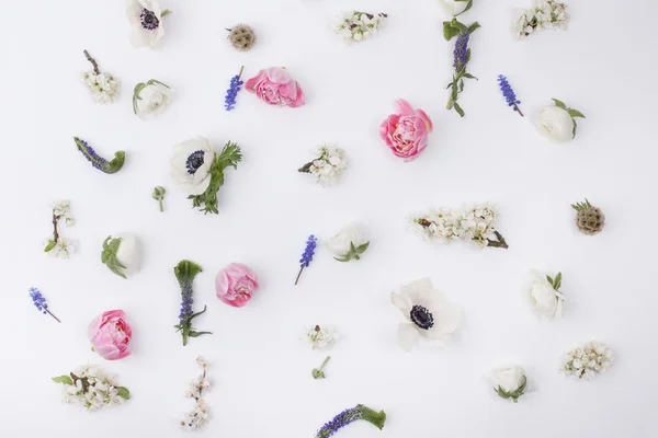 Paskalya çiçekbaşkanları