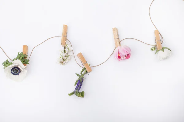 Bahar çiçekleri küçük resimler için üzerinde kart ziyaret