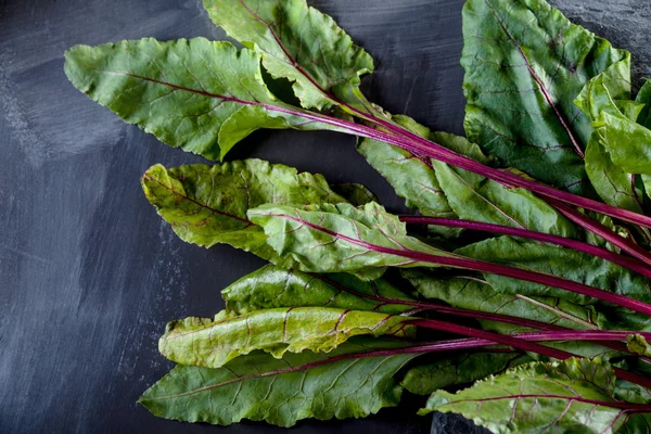 Taze pancar yaprakları