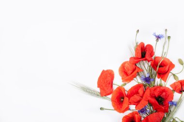 Kırmızı poppies, çavdar ve Peygamber beyaz arka plan fl Tarih başkanları
