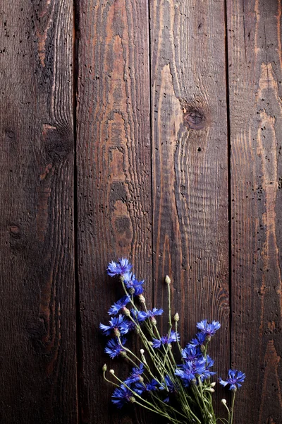 Blaue Kornblumen auf altem Holz mit Kratzern — Stockfoto