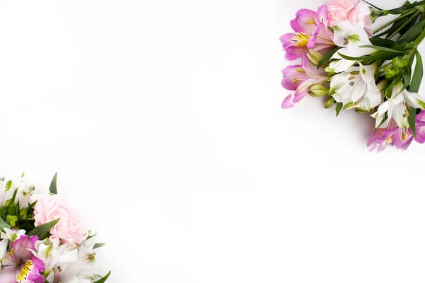 Różowy i fioletowy gillyflowers z Alstremeria na biały backgrou — Zdjęcie stockowe