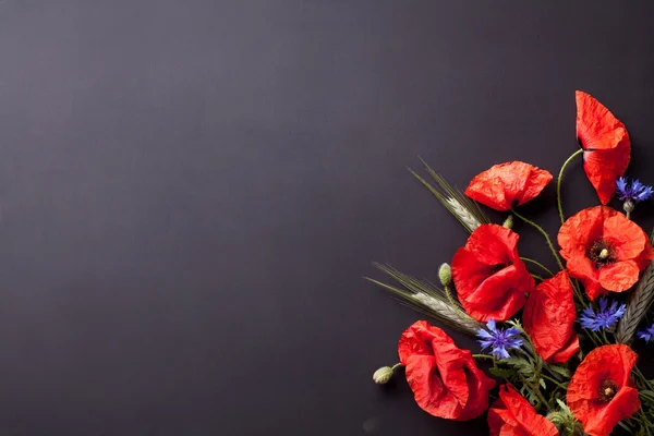 Kırmızı poppies, çavdar ve Peygamber siyah arka plan fl Tarih başkanları