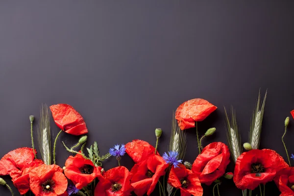 Heads of red poppies, rye and cornflowers on black background — Stock Photo, Image