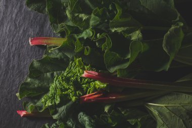 Düz taze ravent güzel ışık ile karanlık taş üzerinde yatıyordu