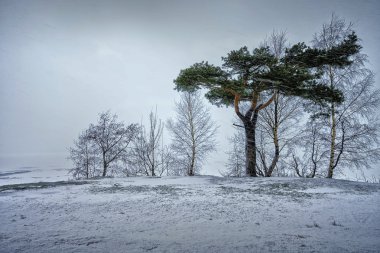 Gölde sabah fırtına.