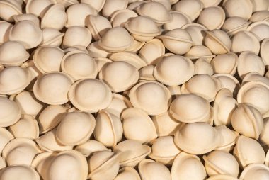 Geleneksel etli börek. Yiyecek ve içecek.