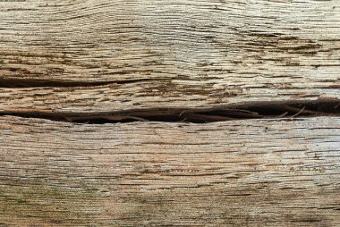 Çatlak meşe gövdesi. Doğal altyapı ve dokular