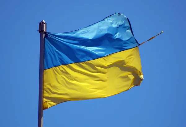 Украинский флаг россия. Флаг Украины 1921. Украинский флаг желто блакитный. Флаг Украины картинки. Флаг Украины 1920.
