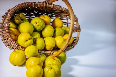 A group of ripe quince fruits with bright yellow-green skin and natural imperfections, placed outside a basket, in bright lighting.