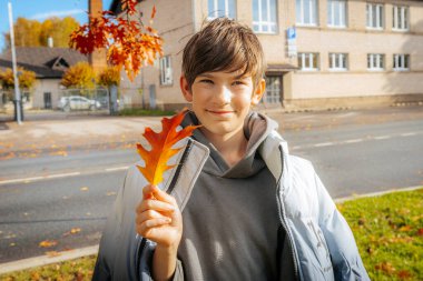 Gri kapüşonlu ve ceketli neşeli bir çocuk parlak bir sonbahar gününde sokağın kenarında dikilirken turuncu bir sonbahar yaprağını tutuyor..