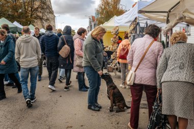 Kalabalık, çadırların altındaki bir açık hava marketinin tezgahlarına göz atarken ön planda oturan bir kadın, benekli bir köpekle etkileşime geçiyor. Bulutlu gökyüzü. 