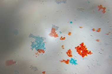 Mikroskobik görüntü, bakteri hücre duvarlarını ayırmak için kullanılan açık arkaplanda kırmızı ve mavi tonlarında Gram boyalı bakteri kümelerini gösteriyor..