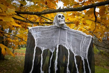 Altın sonbahar yapraklarıyla dolu bir ormanda korkunç bir Cadılar Bayramı Azraili kafatası suratlı ve yırtık pelerinli ağaçtan sarkıyor..