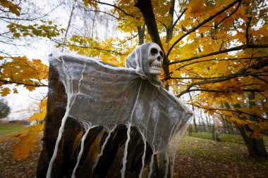 Altın sonbahar yapraklarıyla dolu bir ormanda korkunç bir Cadılar Bayramı Azraili kafatası suratlı ve yırtık pelerinli ağaçtan sarkıyor..