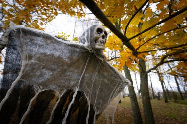 Altın sonbahar yapraklarıyla dolu bir ormanda korkunç bir Cadılar Bayramı Azraili kafatası suratlı ve yırtık pelerinli ağaçtan sarkıyor..