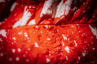 Tatlı su damlacıklarıyla kaplı parlak kırmızı bir yaprağın makro fotoğrafları. Parlak yüzey ve renk kontrastı çarpıcı bir doğal doku oluşturur.