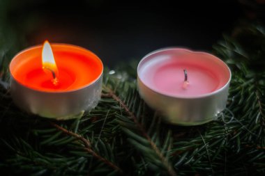 İki kırmızı ve pembe çaydanlık çam dallarında oturur; bir mum sessizce yanar, diğeri yanmaz. Kontrastlı neşeli bir atmosfer..