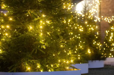 Noel ağaçlarıyla kaplı ve çelenklerle süslenmiş yumuşak ışıklı bir yol, açık hava akşam pazarında samimi ve şenlikli bir atmosfer yaratır..