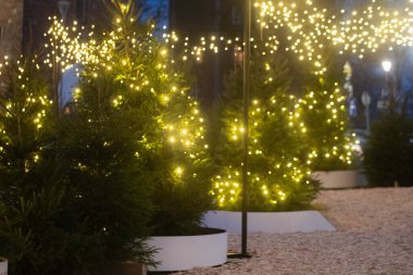 Noel ağaçlarıyla kaplı ve çelenklerle süslenmiş yumuşak ışıklı bir yol, açık hava akşam pazarında samimi ve şenlikli bir atmosfer yaratır..