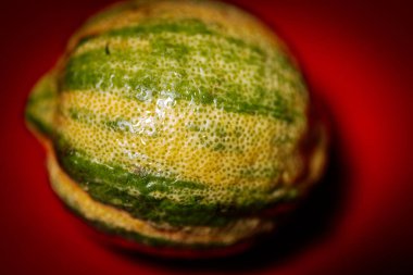 Yeşilimsi sarı kabuğu koyu kırmızı arka planda parlak renklerle gösteren, organik dokuyu ve soyut şekli vurgulayan bir limonun uç makro yakın çekimi..