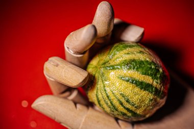 Kırışık yeşil kabuklu birkaç kaffir limonlu makro yakın plan insan eli ile ahşap manken eli arasında parlak kırmızı bir arka plana karşı duruyor..