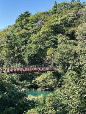 Akita, Japonya 23 Kasım 2025: Dakigaeri Vadisi 'ndeki ikonik kırmızı asma köprü, canlı mavi Tama Nehri ve çarpıcı orman manzarası ile bilinen Akita Bölgesi' nde popüler bir doğa merkezi.