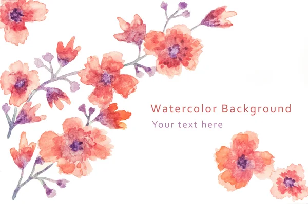 Fondo acuarela floral — Foto de Stock