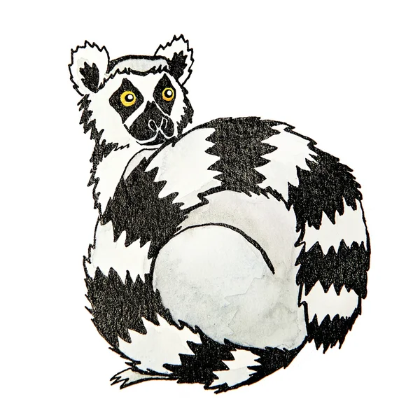 Ładny akwarela lemur — Zdjęcie stockowe