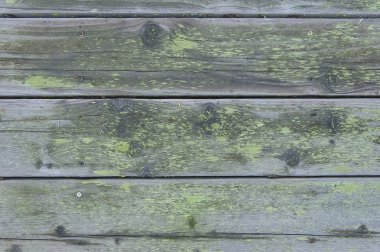 eski ahşap çit arka planı