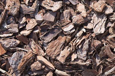 Ağaç kabuğu parçaları arka plan dokusu