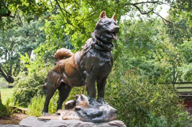 Central Park 'ta Balto heykeli