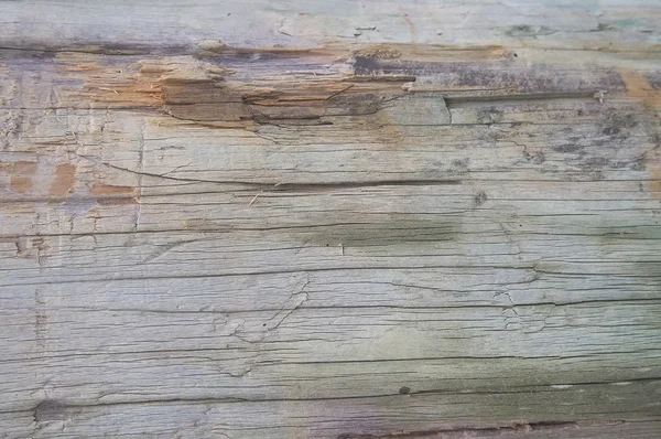 Gamla trä staket bakgrund — Stockfoto
