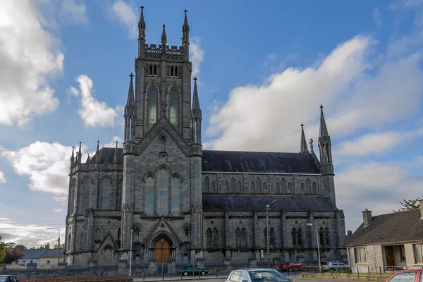 St Mary's Cathedral Kilkenny, İrlanda