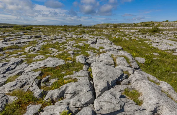 Landskape of The Burren, Ireland — Stock Photo, Image