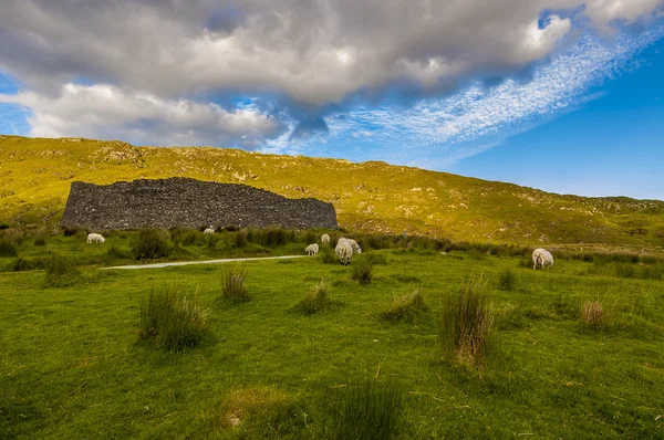 Partly ruined stone ringfort in Ireland — Stock Photo, Image