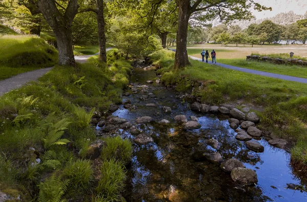 Glendalough, Irlanda 'da parkta Brook