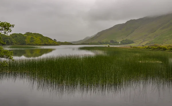 Dimma på sjön Pollacapall Lough, Irland — Stockfoto