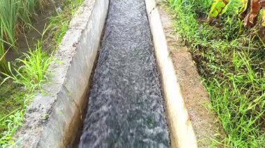 Kırsal kesimdeki dar beton sulama kanalından akan hızlı akan suyun görüntüsü..