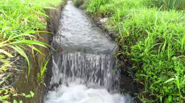 Suyun hızla aktığı betondan yapılmış pirinç tarlasının ortasındaki kırsal bir sulama kanalının görüntüsü küçük bir şelale oluşturuyor..