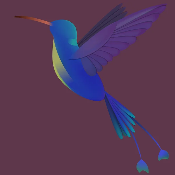 Farbverlauf Kolibri — Stockvektor