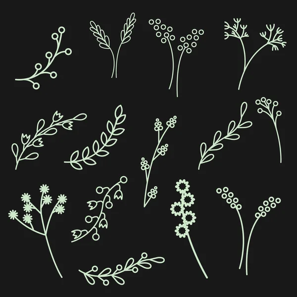 一套植物和花卉 — 图库矢量图片