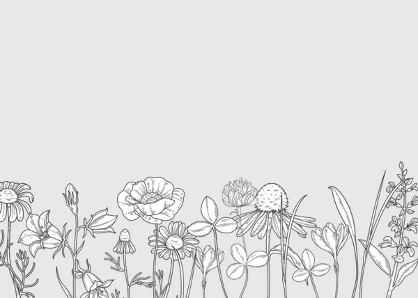 白と黒の背景に野の花の模様 — ストックベクタ